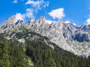 Şaşırtıcı İsviçre Alpleri'nde Wetterhorn yaz Grindelwald içinde