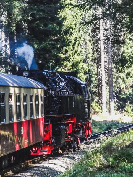 Паровий двигун поїзд йде до brocken у регіоні Harz — стокове фото