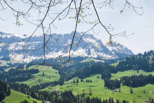 Bela paisagem da Suíça, Vale Emmental agosto — Fotografia de Stock