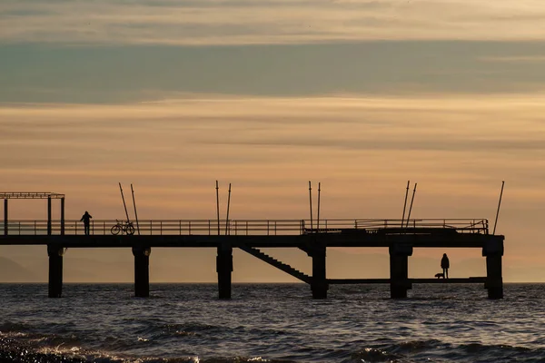 A girl boy dog and bike silhouettes on the pier