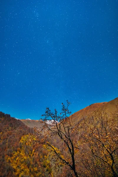 Jesienne góry krajobraz z nocnym gwiaździstym niebem — Zdjęcie stockowe