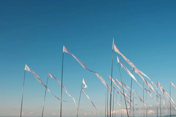 Drapeaux blancs agitant sur la plage — Photo