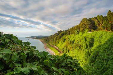 Sahilin güzel manzaralı yaz manzarası 