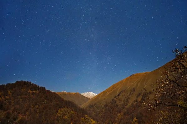 Widok nocy jesiennego lasu w górach z gwiaździstym niebem — Zdjęcie stockowe