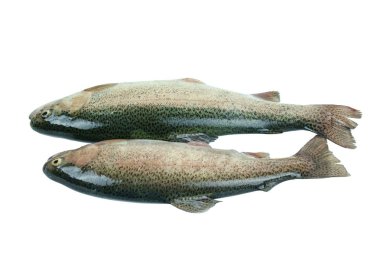 İki çiğ alabalık.