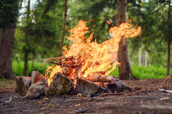 Bonfire ในป่า — ภาพถ่ายสต็อก