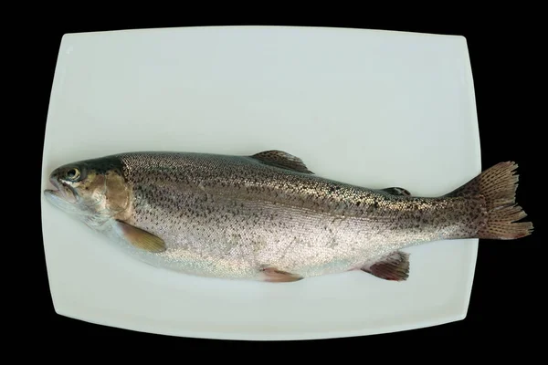 Pescado crudo de trucha arco iris en una placa de porcelana blanca —  Fotos de Stock