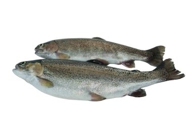 İki çiğ alabalık.