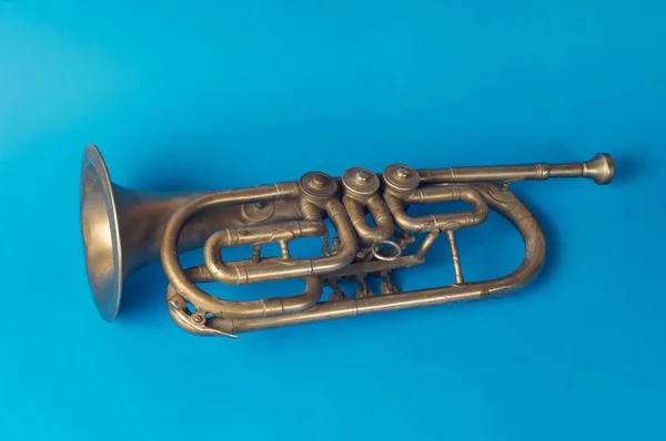 Gamla golden trumpetkrásná a elegantní blondýnka izolovaných na bílém, studio zastřelil — Stockfoto