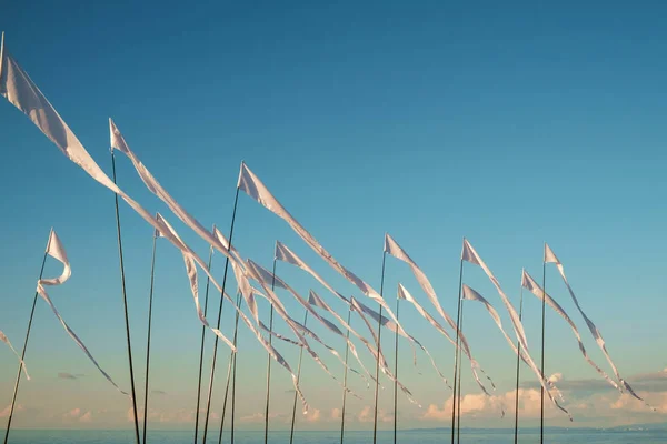 Drapeaux blancs agitant sur la plage — Photo