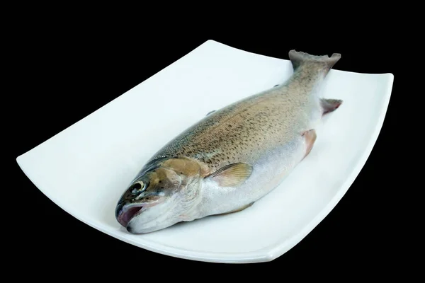 Raw rainbow trout fish on a white porcelain plate — Stock Photo, Image