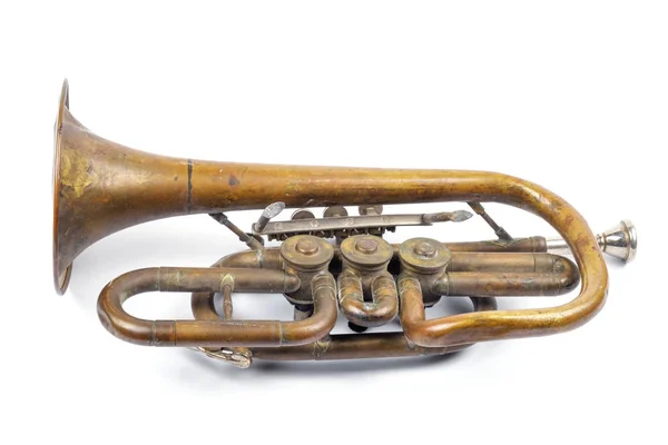 Beyaz bir yüzeyde altın trompet — Stok fotoğraf