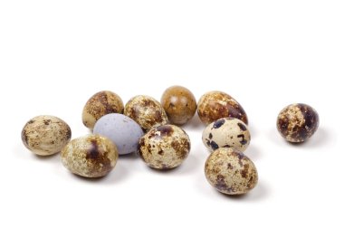 Bıldırcın yumurtası beyaz bir yüzeye