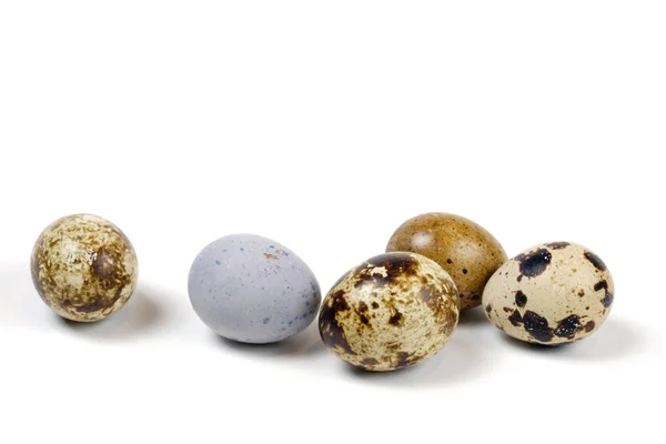 Huevos de codorniz sobre una superficie blanca —  Fotos de Stock