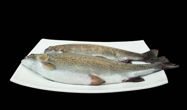Two raw rainbow trout fish — Stock Photo, Image