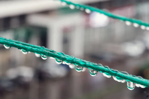 Lluvia limpia cae sobre la cuerda verde —  Fotos de Stock
