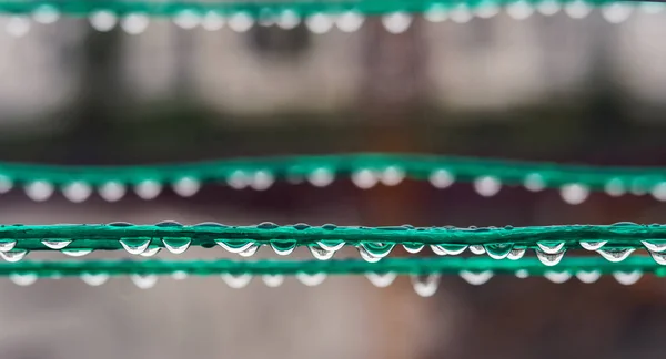 Des gouttes de pluie propres sur la corde verte — Photo