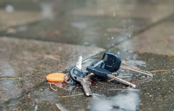 Набір загублених клавіш на кільці на мокрій землі на вулиці — стокове фото