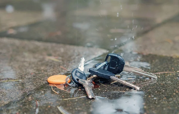 Conjunto de llaves perdidas en el anillo en tierra mojada en la calle —  Fotos de Stock