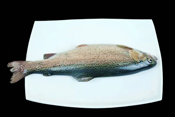 Peixe de truta arco-íris cru em uma placa de porcelana branca — Fotografia de Stock