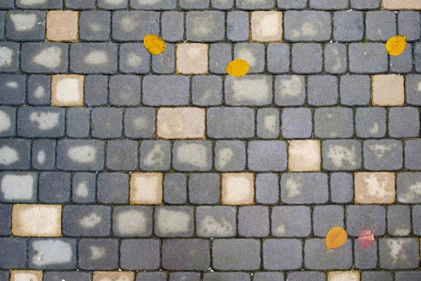 Fondo de pavimento húmedo con hojas amarillas caídas —  Fotos de Stock