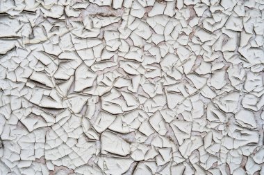 Küflenmiş beyaz resimli eski çatlak bir duvar.