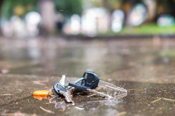 Conjunto de llaves perdidas en el anillo en tierra mojada en la calle —  Fotos de Stock