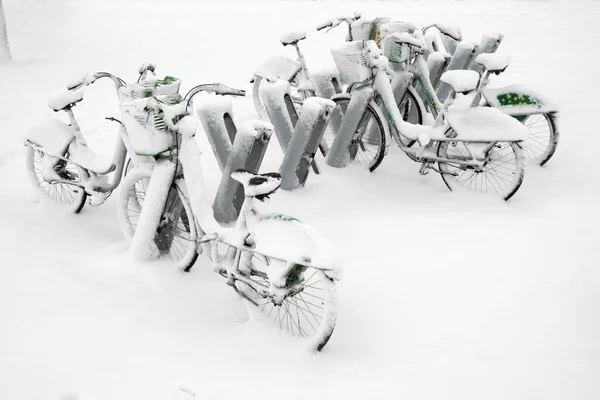 自行车在冬天停放 成排的自行车被雪覆盖着 — 图库照片