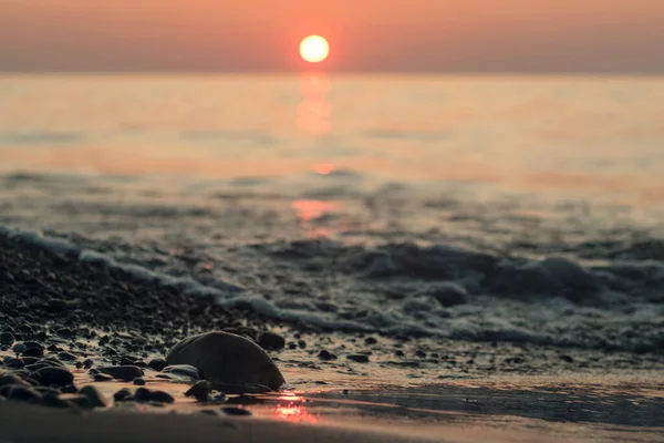 Солнечный Свет Отражающийся Мокрой Морской Гальке Песчаном Пляже Избирательный Фокус — стоковое фото