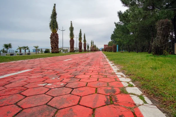 Pavimento Color Rojo Parque Junto Mar Camino Vacío Bicicleta Callejón — Foto de Stock