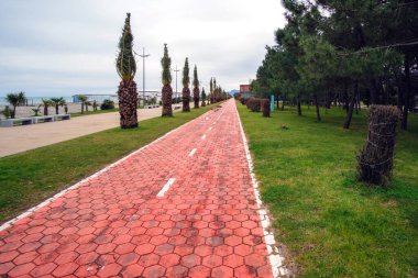 Boş sahil parkında kırmızı asfalt, ara sokaktaki boş bisiklet yolu.