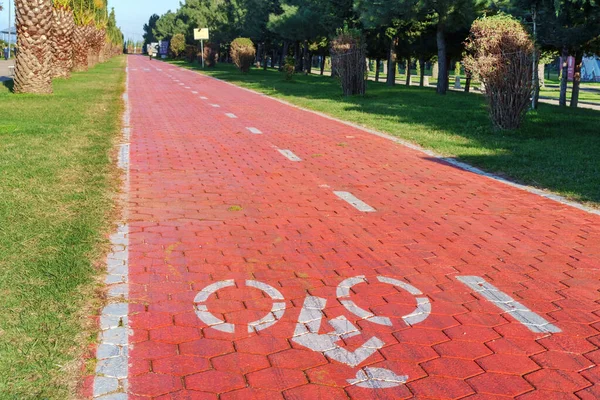Bike lane with road symbols painted on a red color pavement, empty bike road at alley