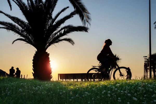 Sylwetka Młodej Kobiety Jadącej Rowerze Nadmorskim Parku Zachodzie Słońca Zielonym — Zdjęcie stockowe