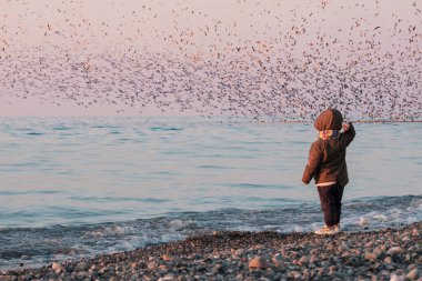 Yağmurluk giymiş şirin küçük çocuk denizlere taş atıyor. Arka planda gökyüzü martı sürüsüyle dolu.  