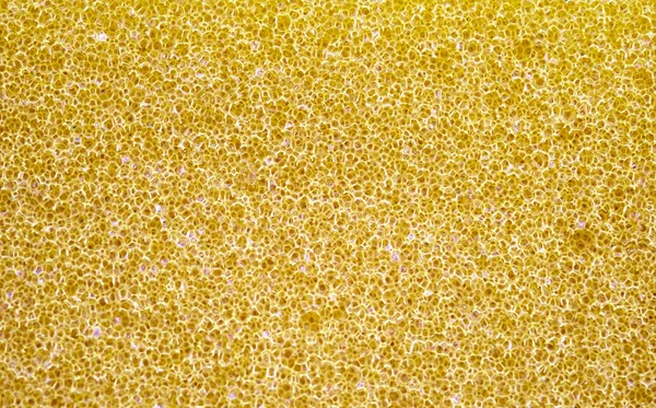 Żółta Gąbka Zbliżenie Szczegół Abstrakcyjna Tekstura — Zdjęcie stockowe