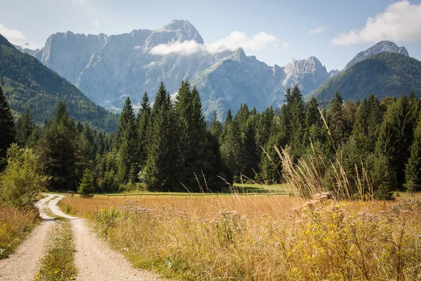 Estrada, montanhas, floresta, Eslovénia — Fotografia de Stock