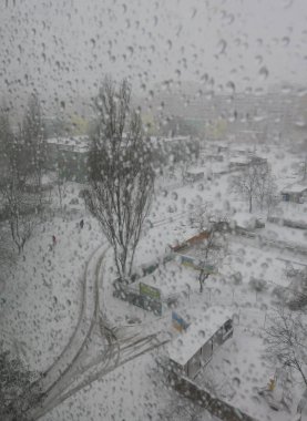 Bahçe kar yağmur şehir kış