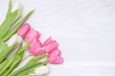 Beyaz ahşap arka planda güzel laleler. Bahar zamanı, bahar arkaplanı. Kadınlar, anneler günü konsepti. Boşluğu kopyala.