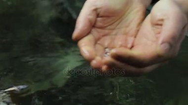 genç bir mersin balığı bir balık çiftliğinde holding insan eller