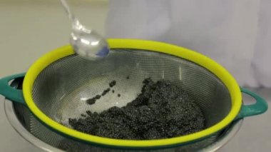 siyah havyar balık Fabrikası'nda üretim.