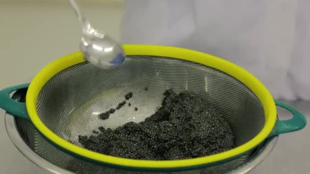 Production Black Caviar Fish Factory — Stock Video