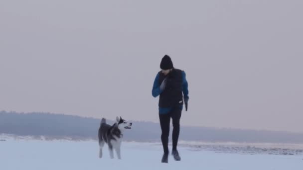 犬と雪に覆われたビーチで冬に走っている人 — ストック動画