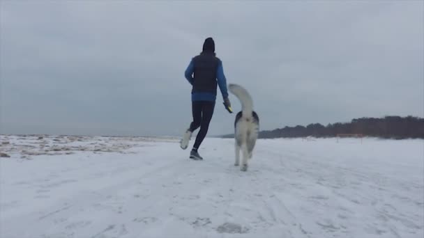 犬と雪に覆われたビーチで冬に走っている人 — ストック動画