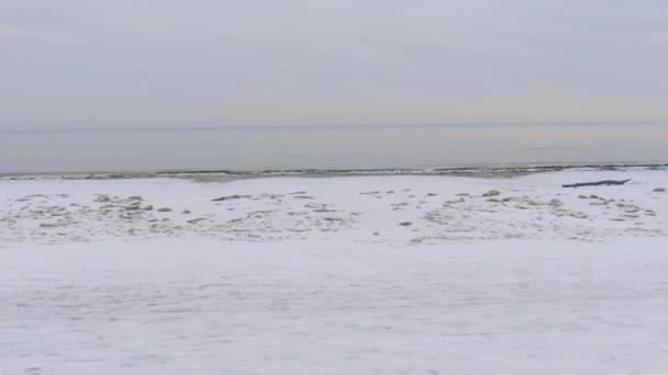 一个男人冬天在一个美丽的白雪沙滩上奔跑 带着一只狗 — 图库视频影像