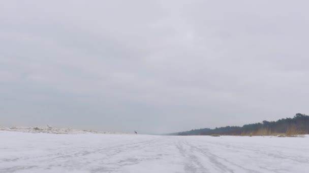 Ein Mann Läuft Winter Einem Schönen Schneebedeckten Strand — Stockvideo