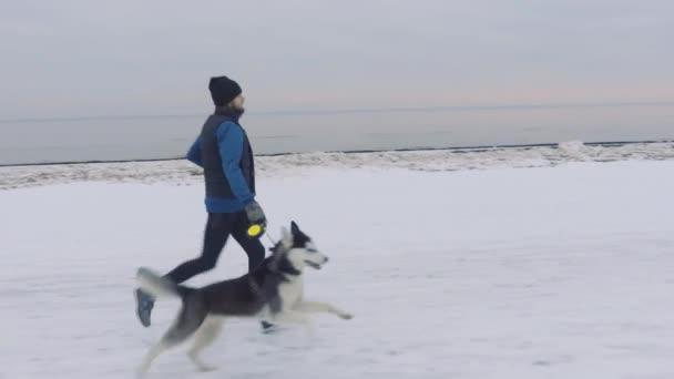 Man Kör Vintern Vacker Snöig Strand Med Hund — Stockvideo