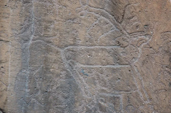 Gambar Kuno Batu Stepa Asia Izin Tidak Diperlukan Batu Ini — Stok Foto