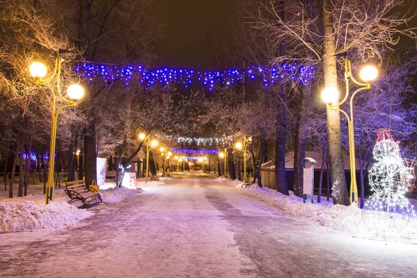 Alley in the evening park decorated with illuminations before the New Year and Christmas. Russia. Khakassia. Abakan