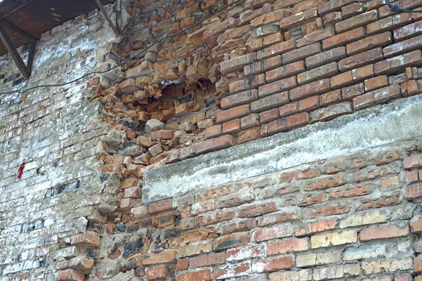 A brick wall collapses under natural conditions, in the open. Brick collapses from rain, wind and fungus