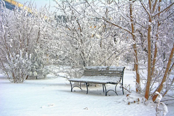 Snow Covered Bench Deserted Park Winter Russia — Stock Photo, Image